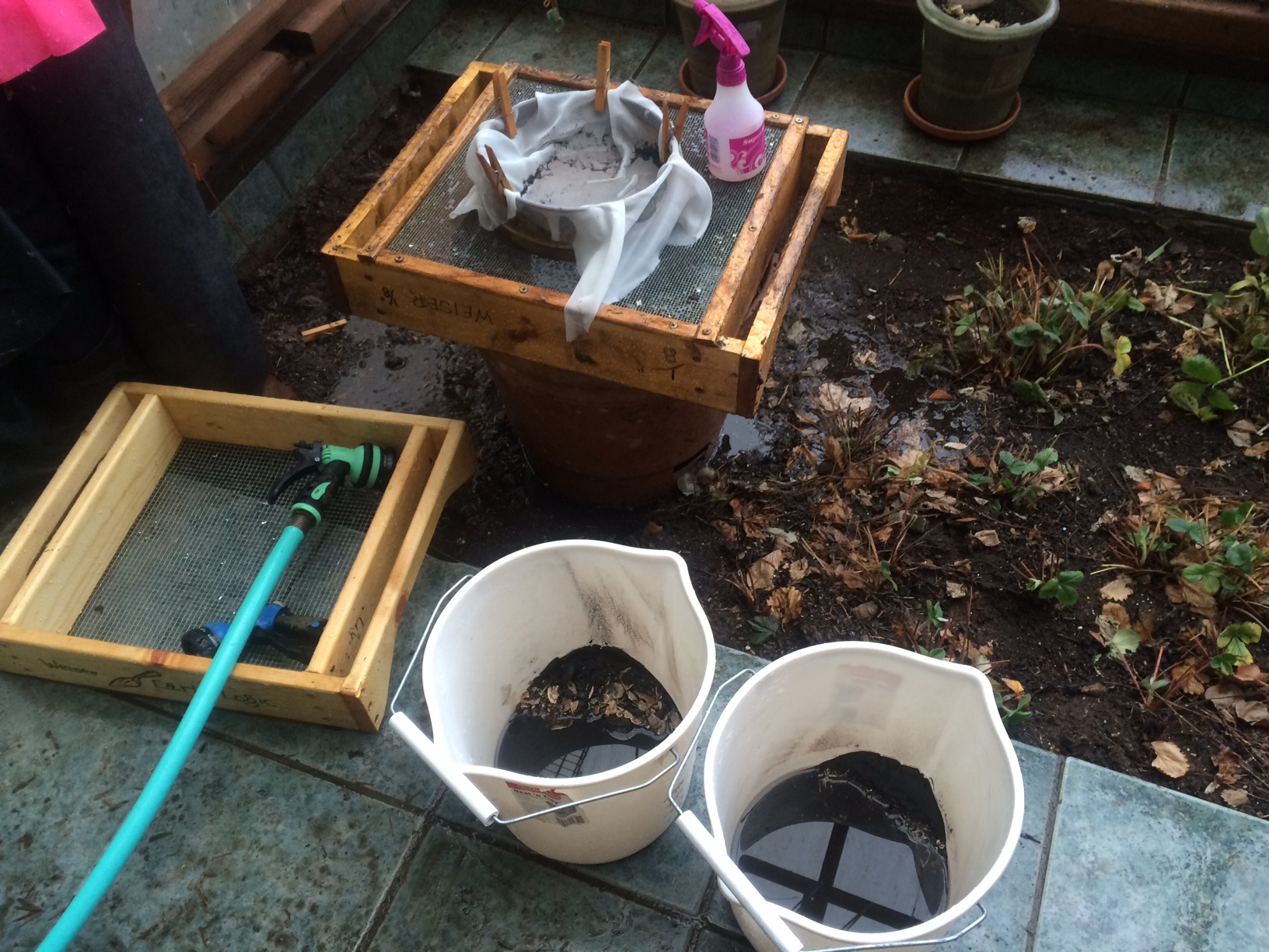 Earth Logic Consulting